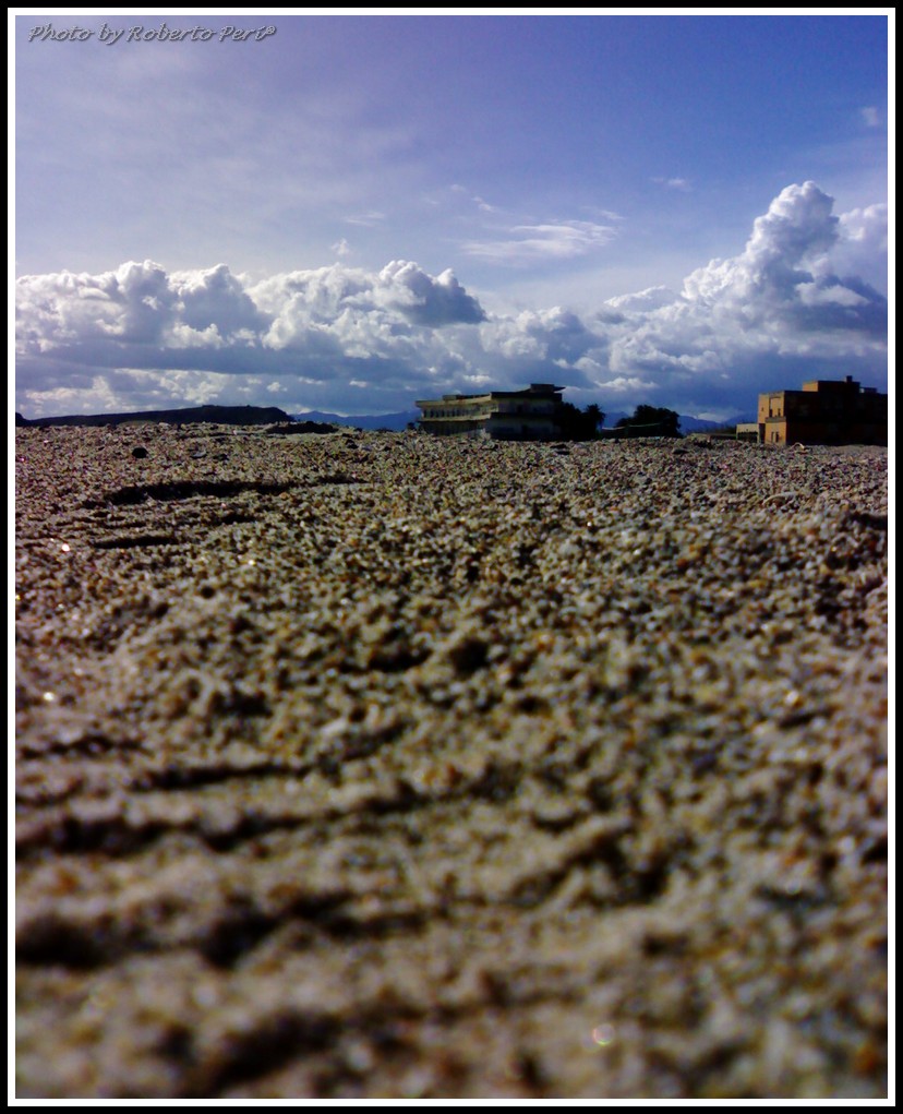 Visione di una formichina...