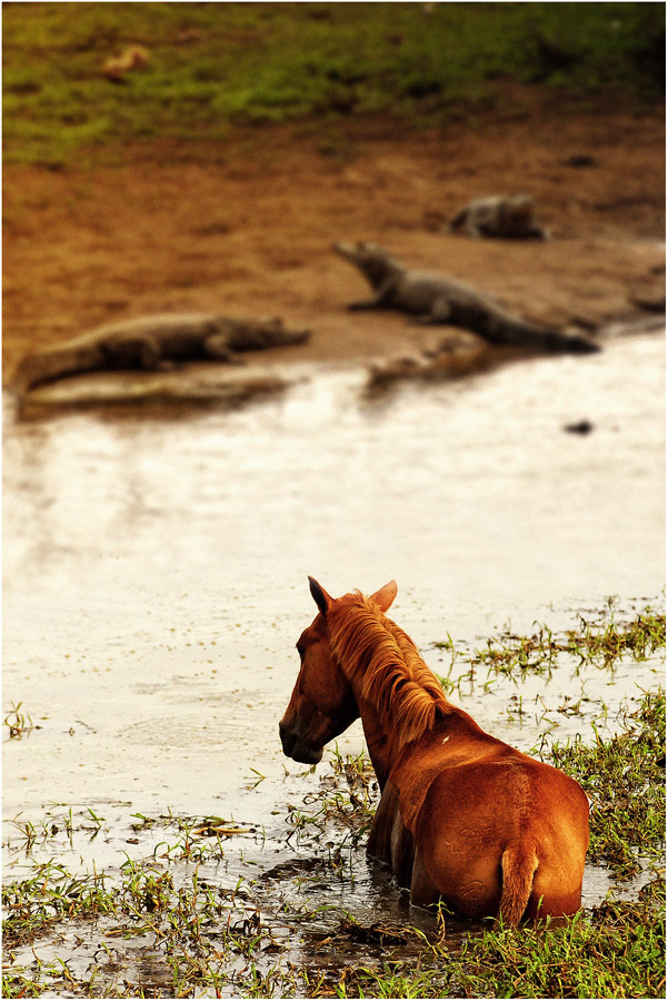 In acque tranquille...
