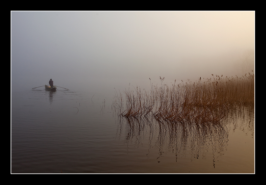 A pesca nell'alba nebbiosa
