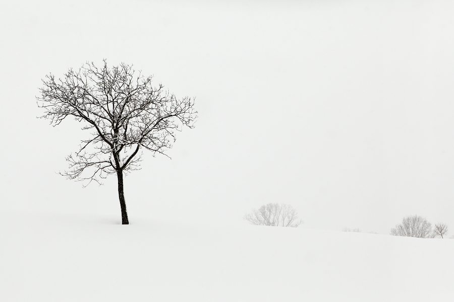 The White Silence...