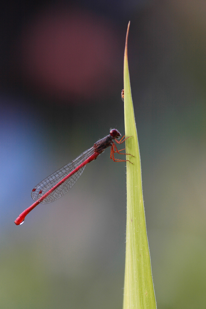 ...Diversa Dalle Altre...!!!