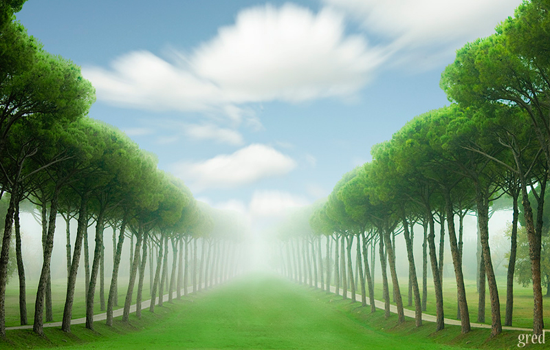 Destinazione paradiso