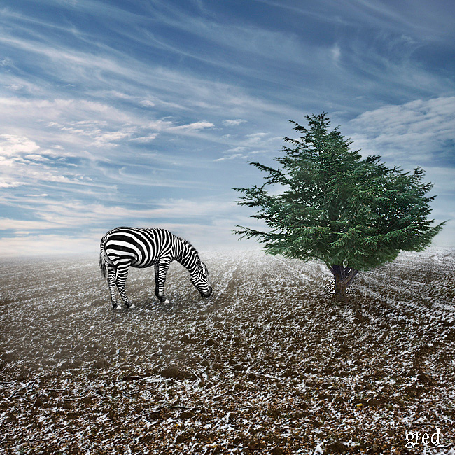 Cambiamenti climatici