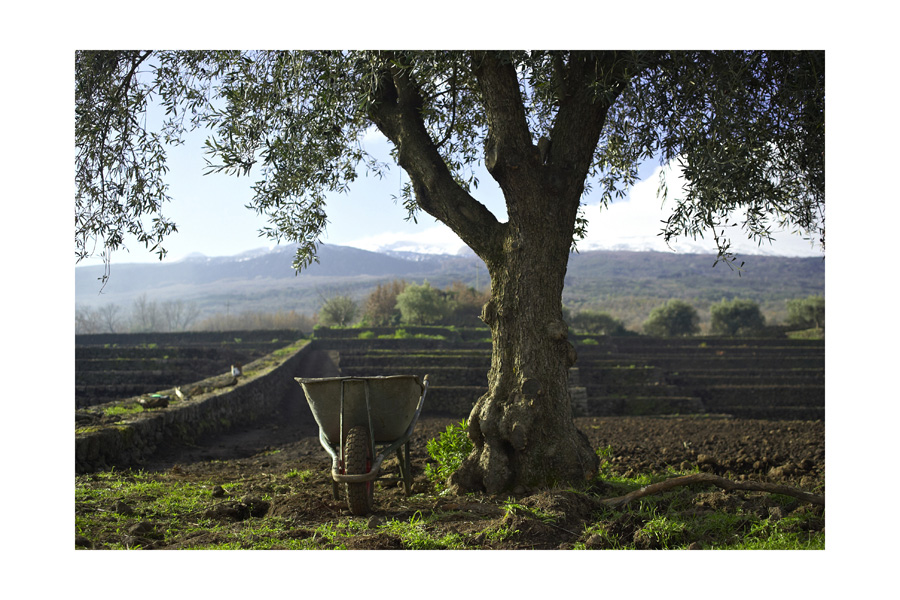 All'alba, sull'Etna.