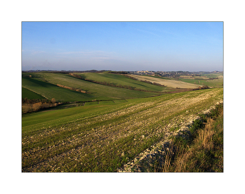 673 - Campagna nel Pisano