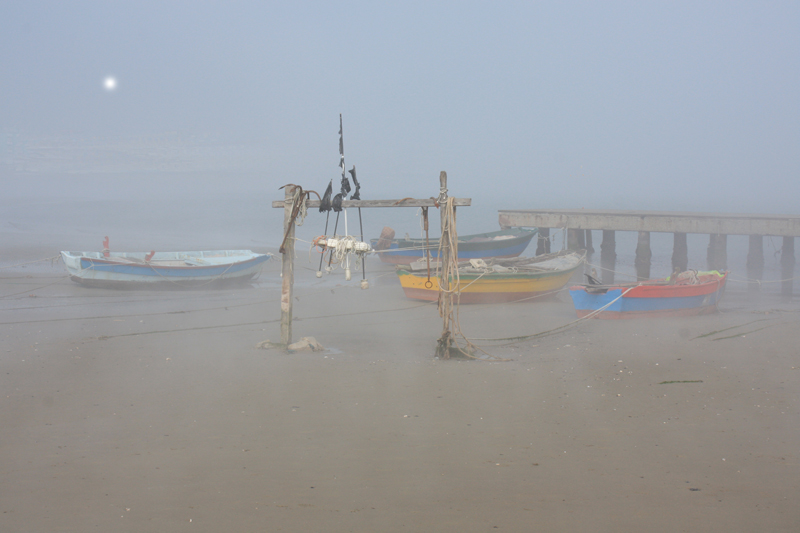 spiaggia sotto la nebbia