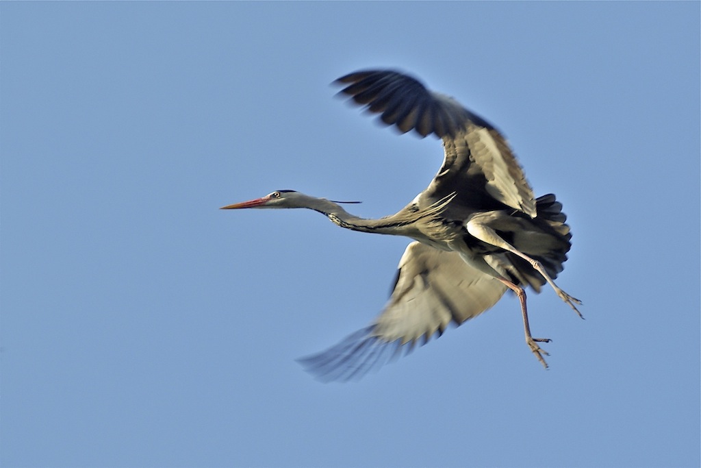 Manovre di atterraggio