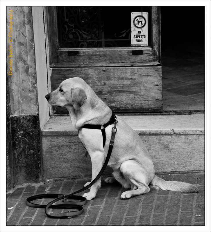 io..rispetto le regole