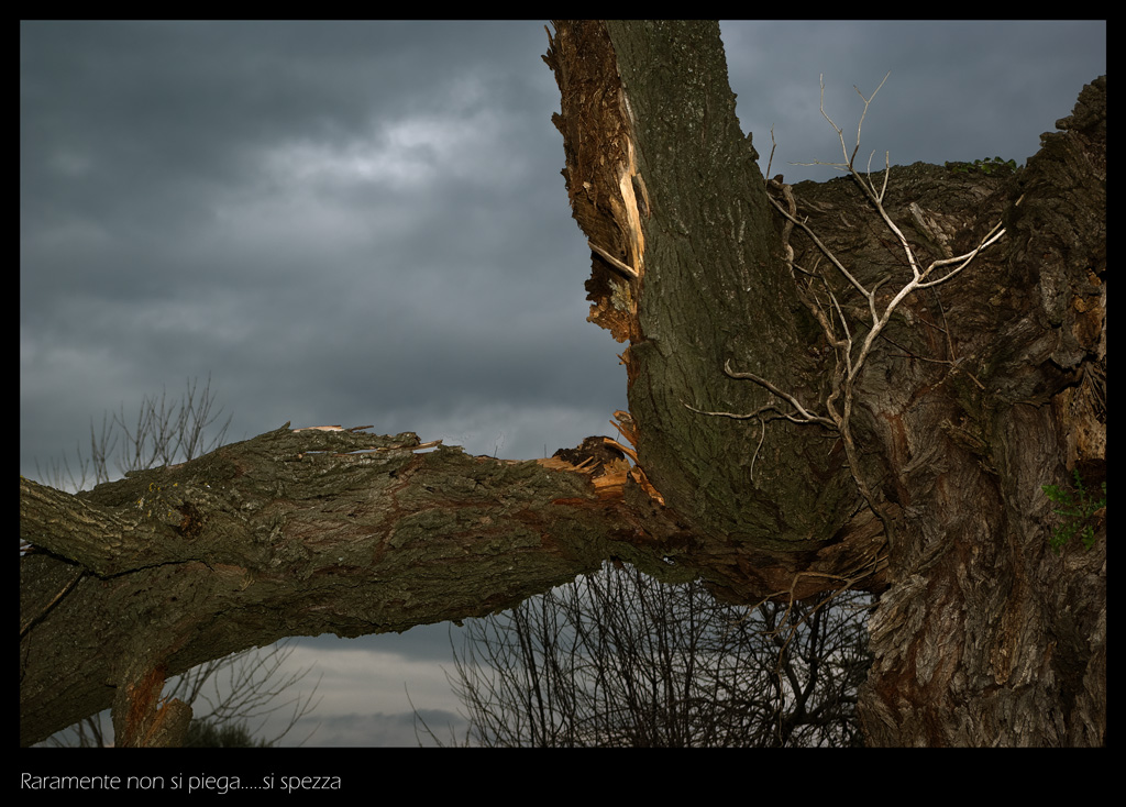 Raramente non si piega...si spezza