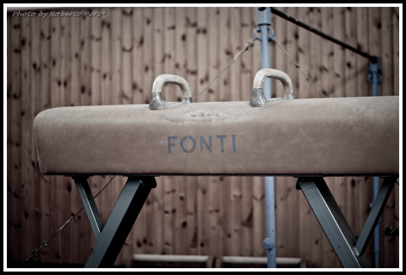 Cavallo con maniglie