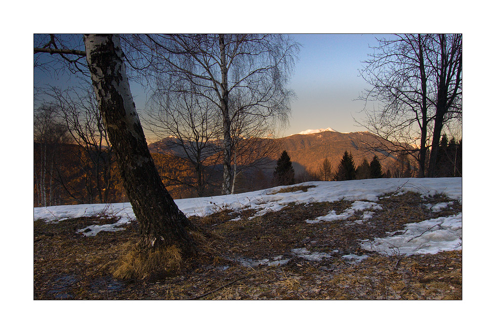 Tramonto con le Betulle