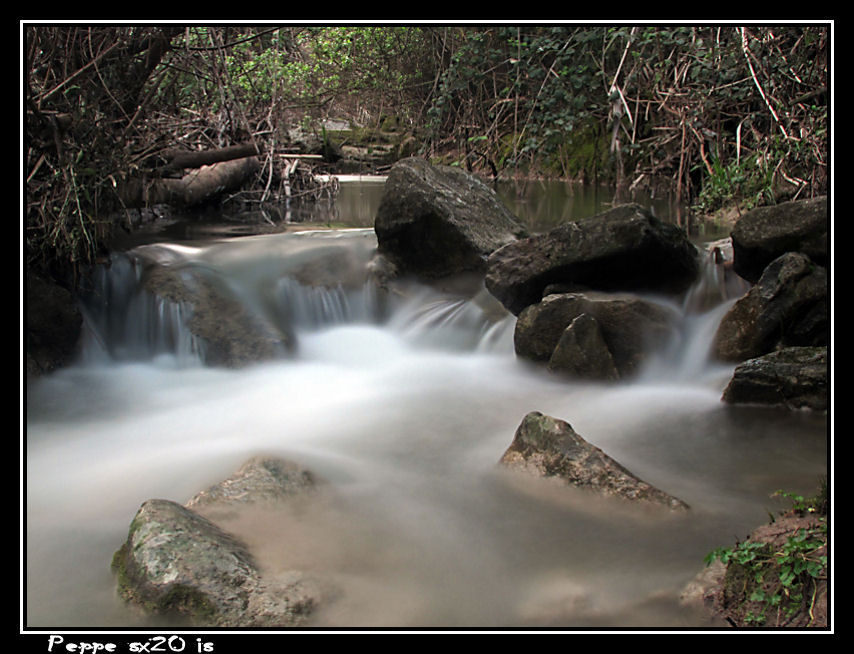 sotto la vegetazione...