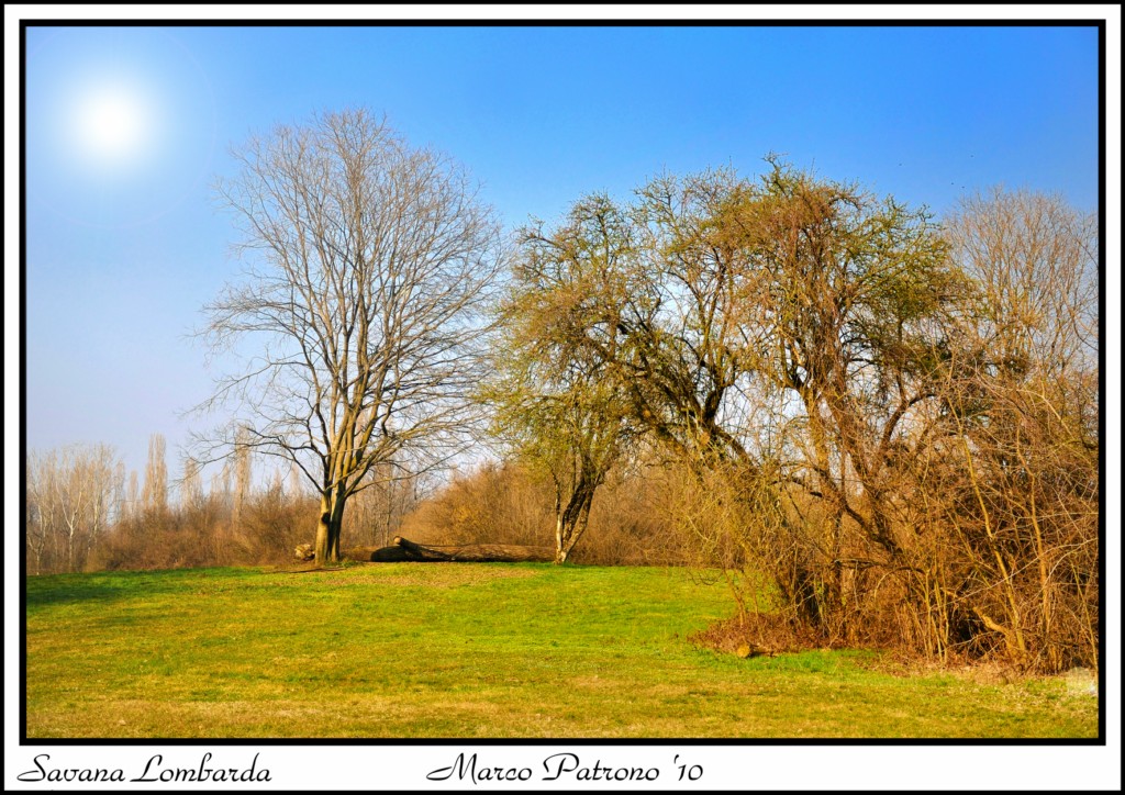 Savana Lombarda