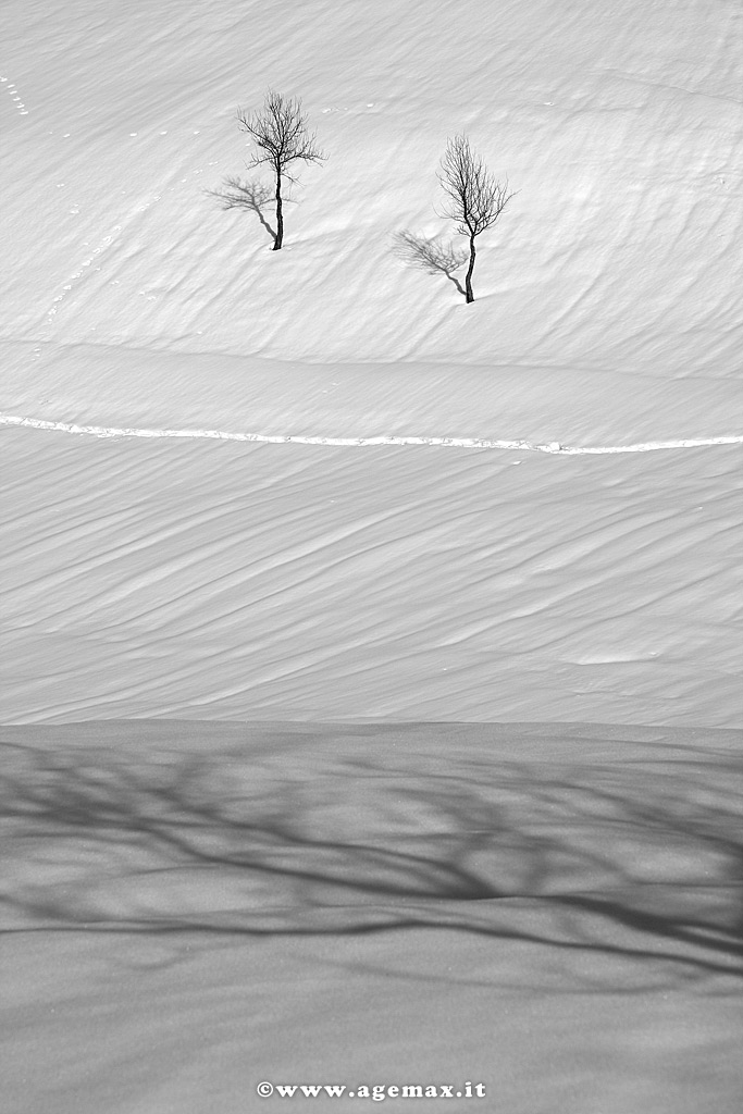 il bianco separatore