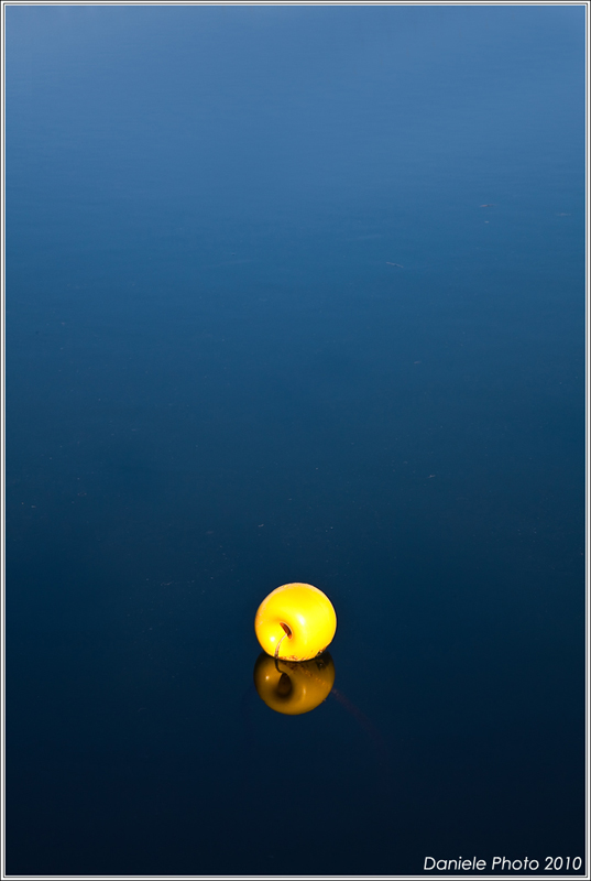 boa o galleggiante.....!?!?