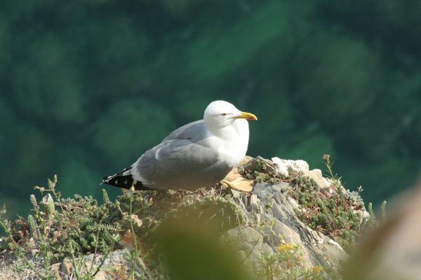 non mi prenderete mai!!