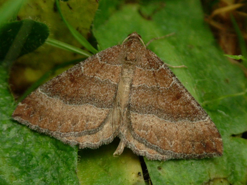 un riposino prima del volo