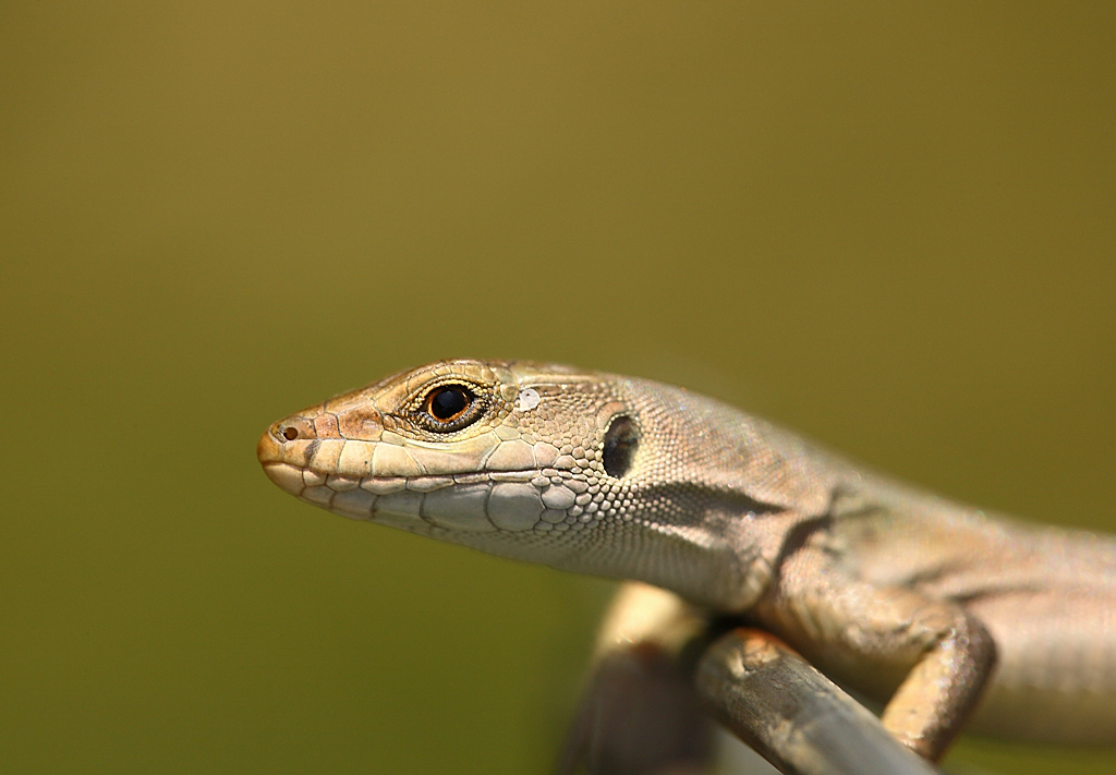 ...Dal Balcone...!!!