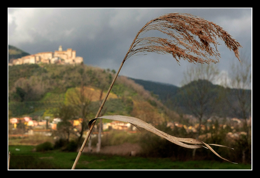 castel vecchio di compito (LU) dal padule di Bientina