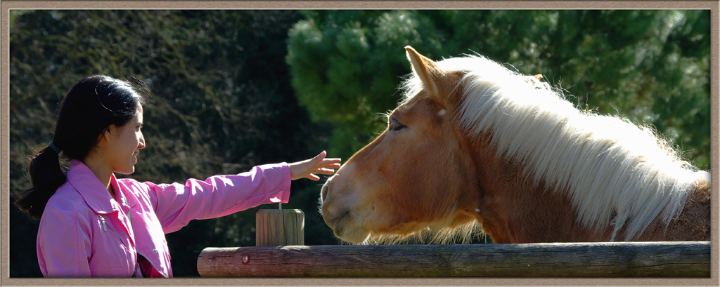 LA RAGAZZA CHE SUSSURRAVA AI CAVALLI