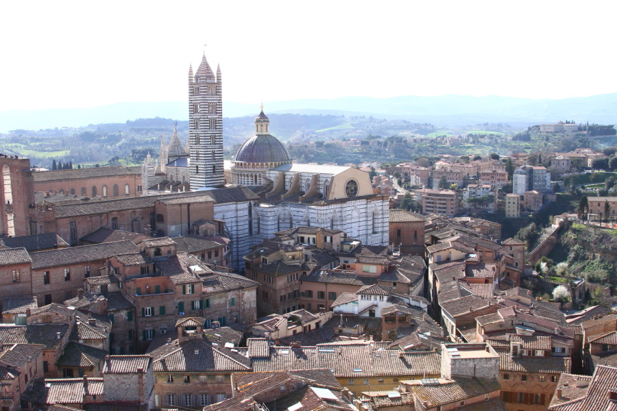 siena