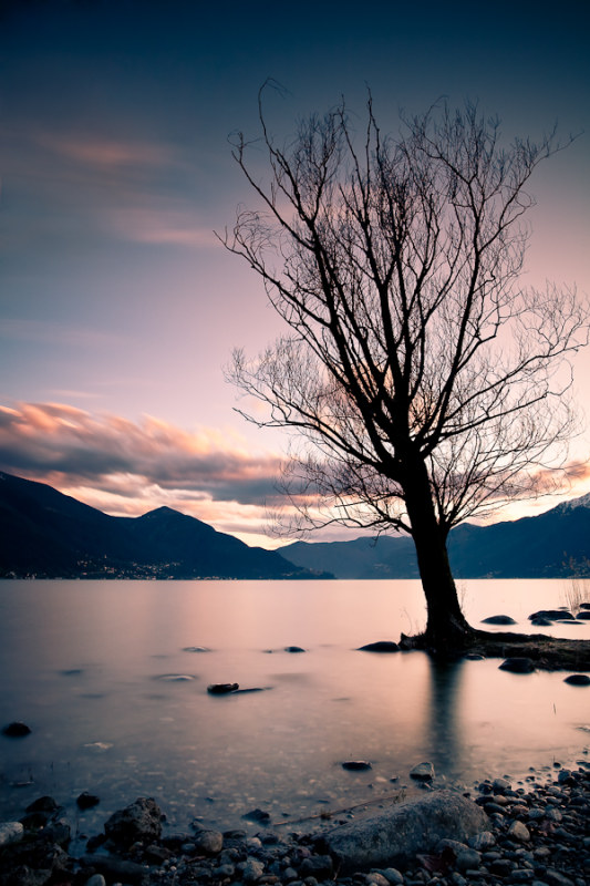 La Guardia della quiete