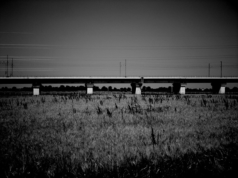 l� dove c'era l'erba....