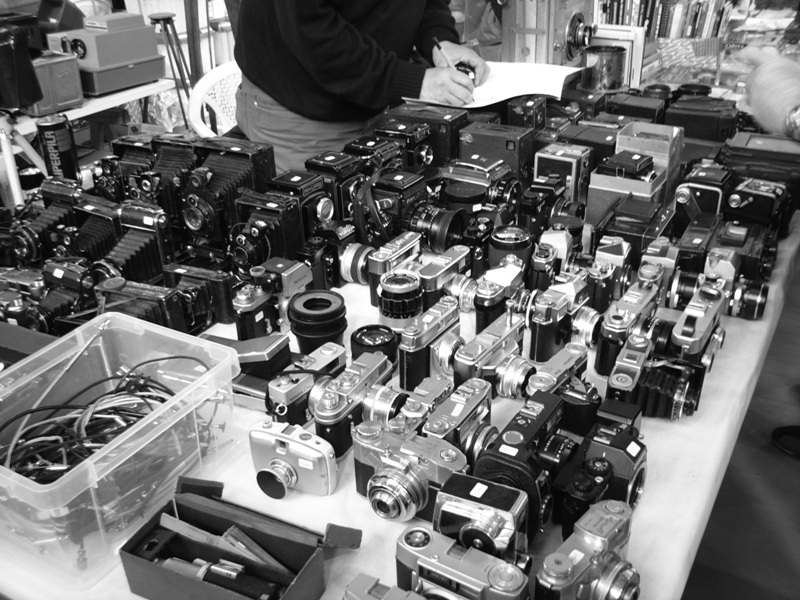 il paese dei balocchi