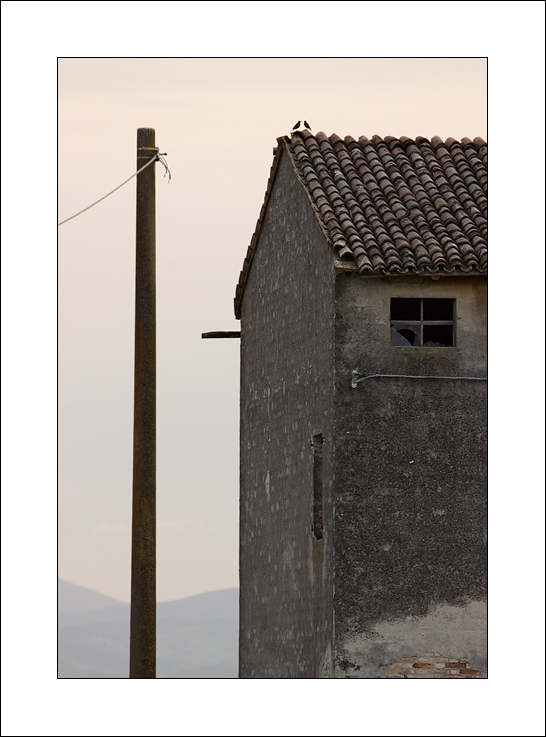 El amor en los tiempos del c�lera