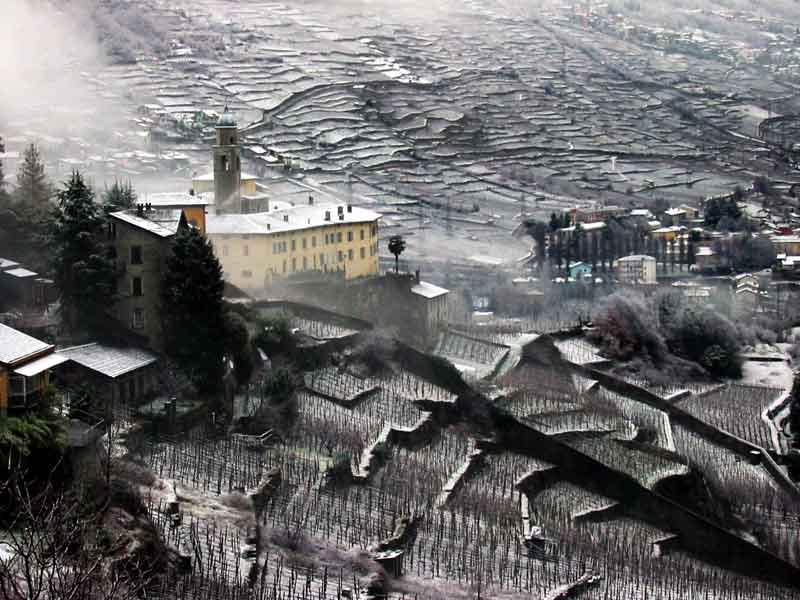 Dalla mia finestra...