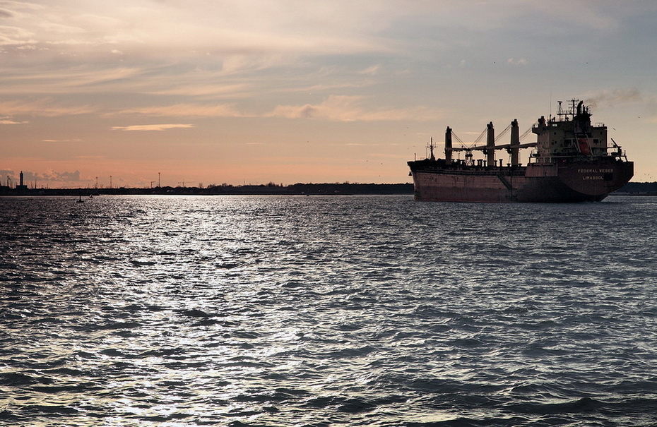 Venuta da lontano...