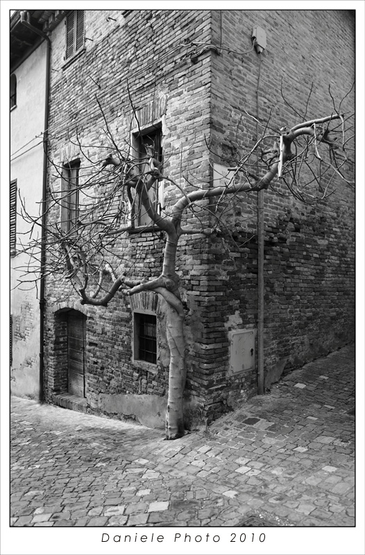 non arrendersi..e farsi notare!!