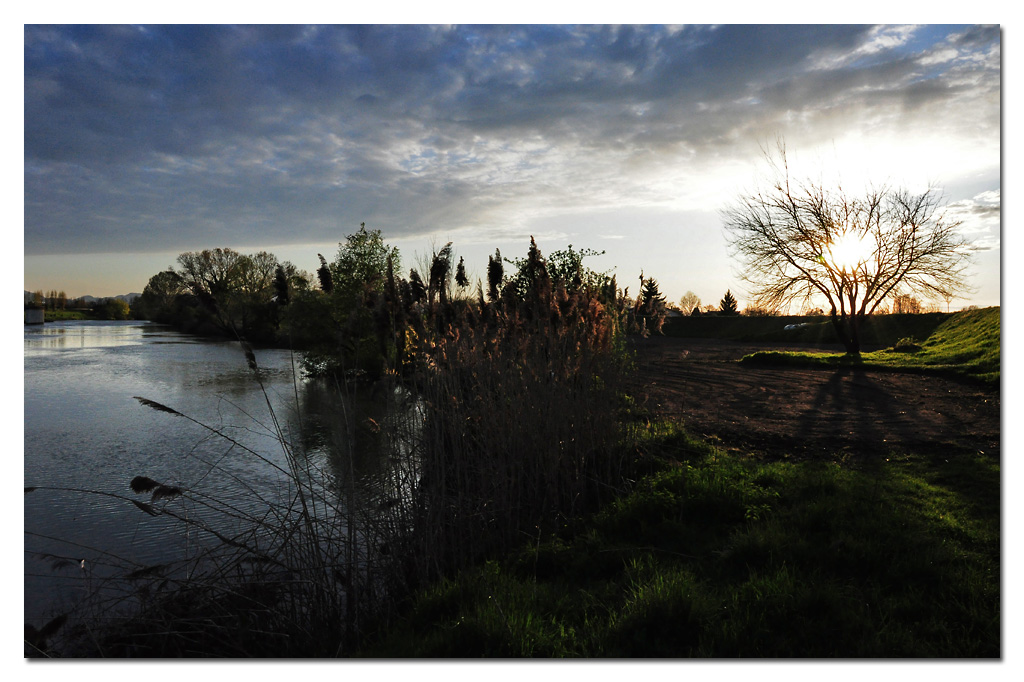 Luce e ombra sul fiume