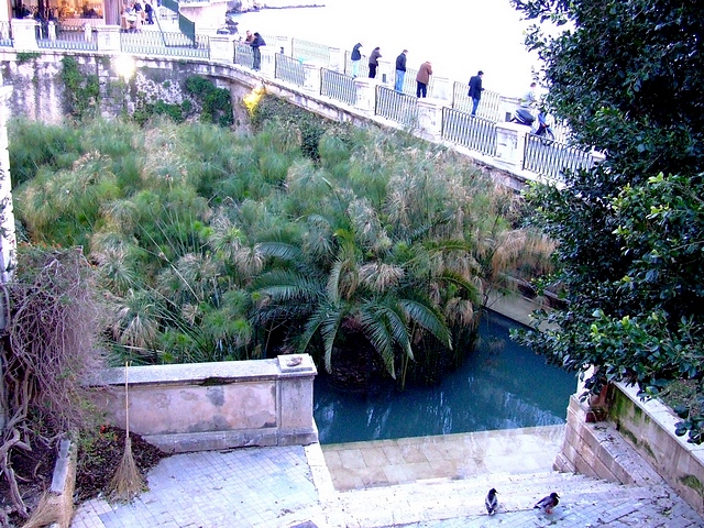 Fontana Aretusa Siracusa