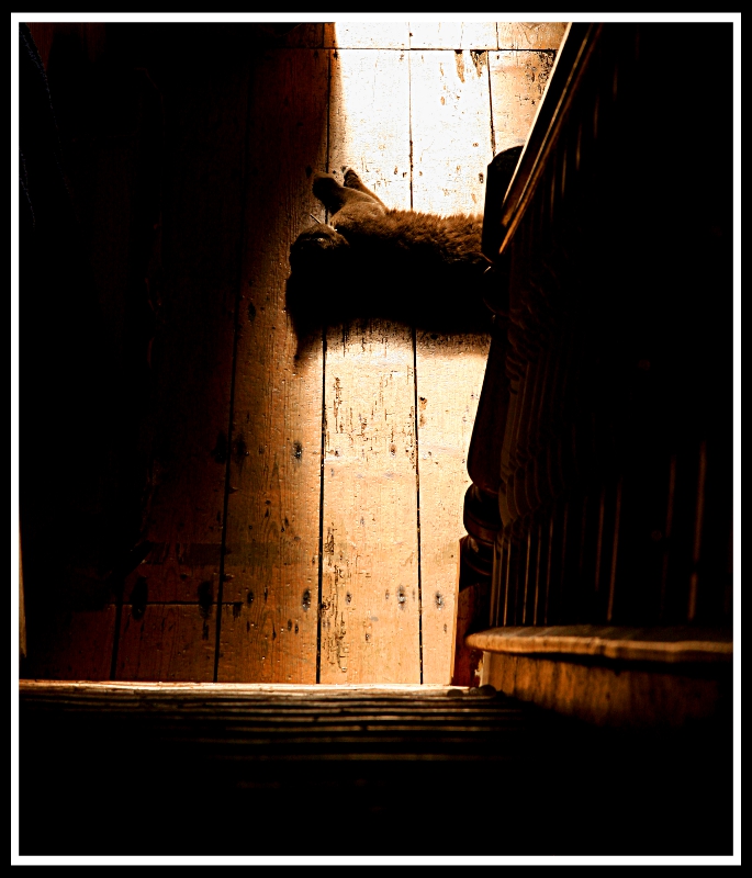 Dall'alto verso il basso