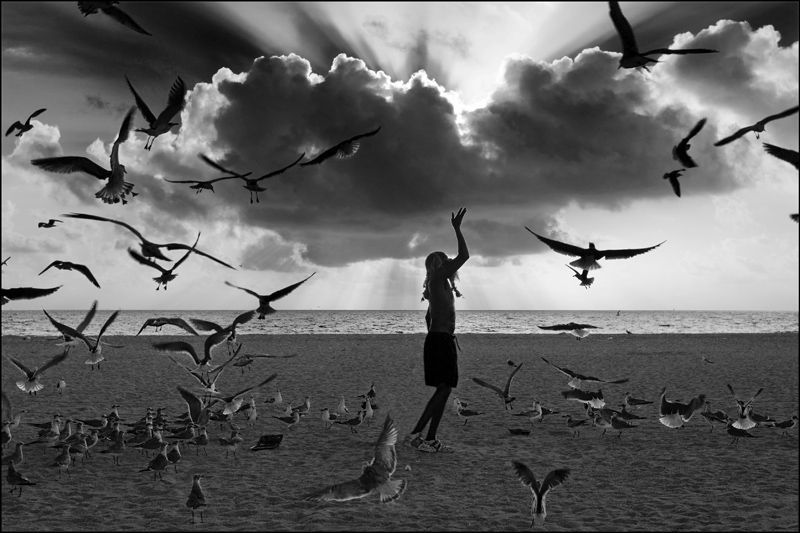 The man who talked with birds