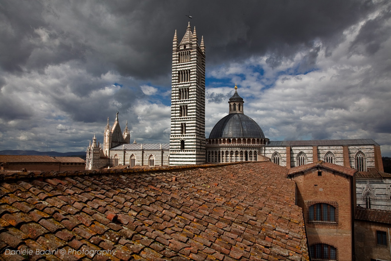 sui tetti di Siena
