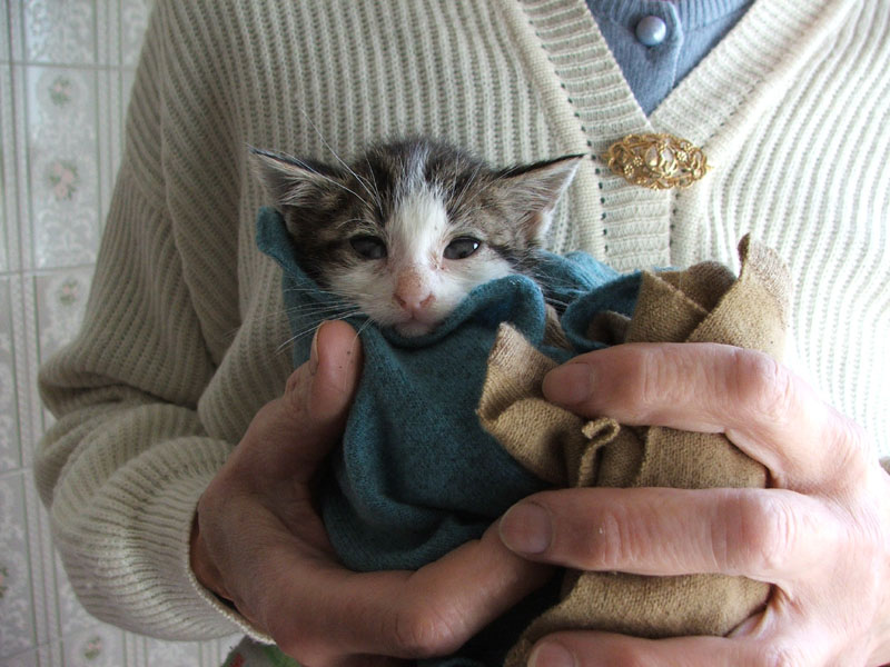 Impacchettato per il nuovo padrone...