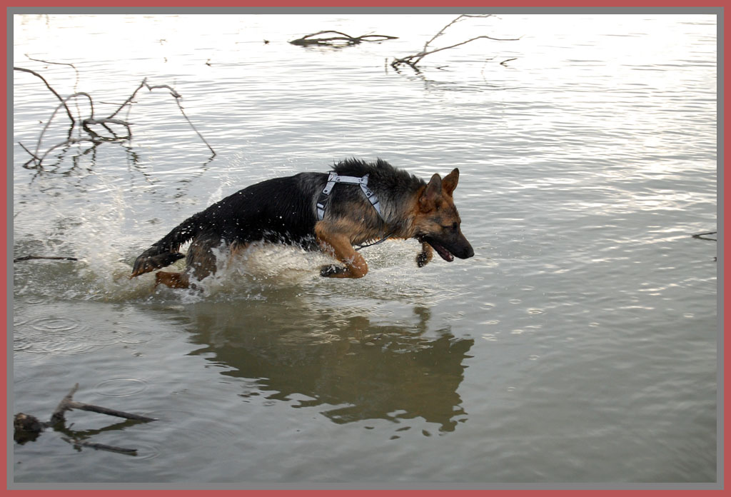 divertimento.... in acqua