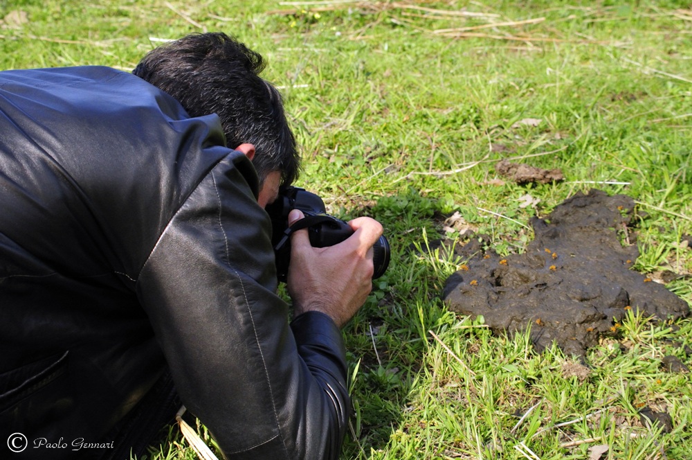 cosa si deve fare per una macro