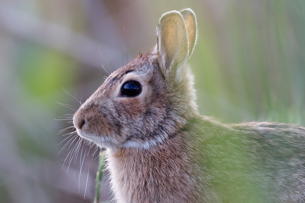 Il mio mondo nei miei occhi