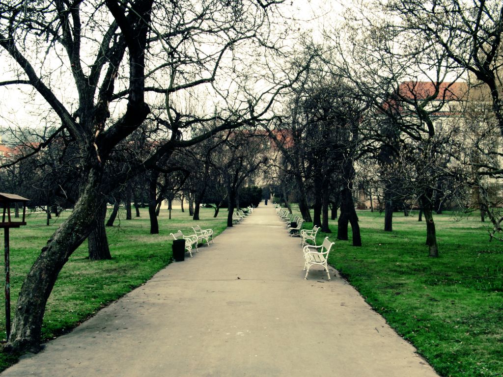 04.appare misteriosa, decadente