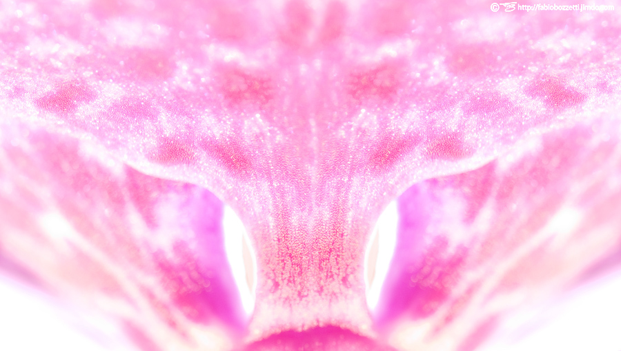 L'albero delle anime