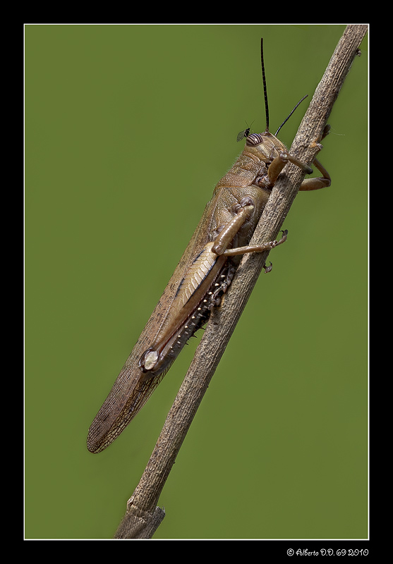 ...anch'io per la foto...