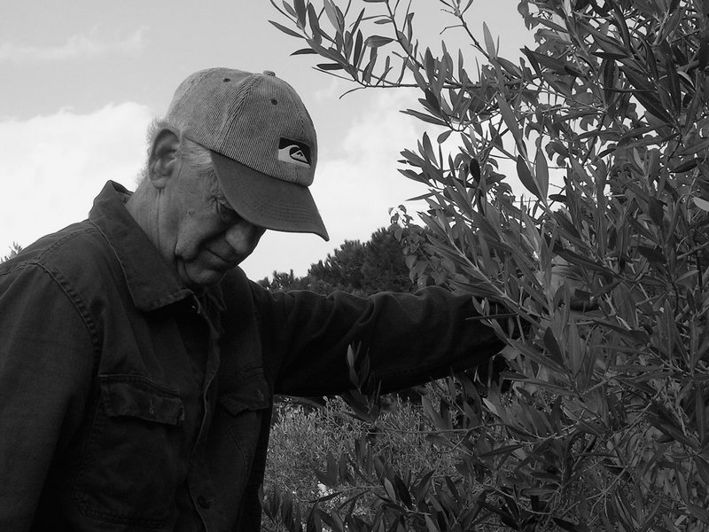 ...looking for my father...