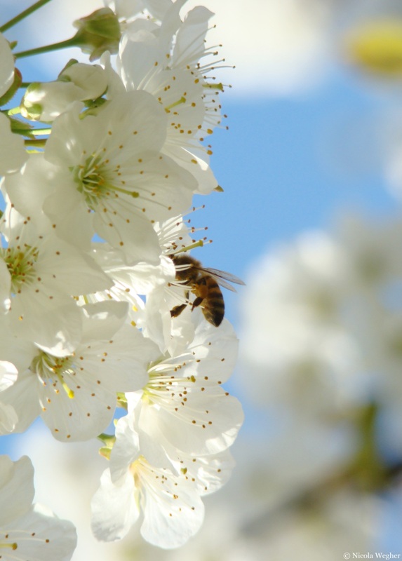 Nature... I love you!!