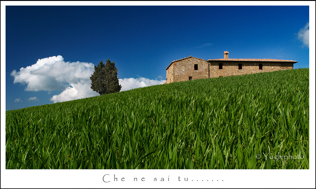 Che ne sai tu.....