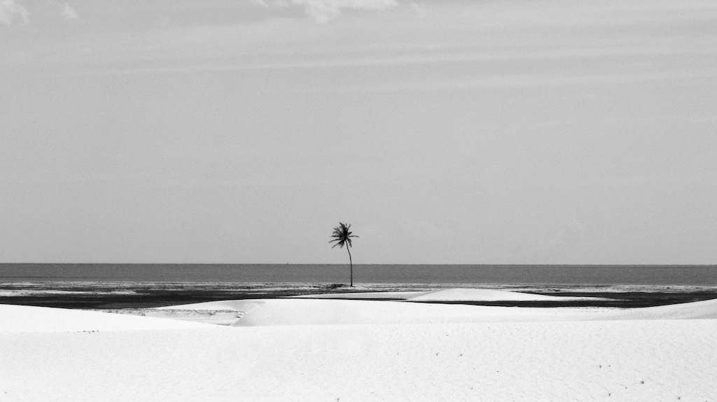 Arida Solitudine: Armonia