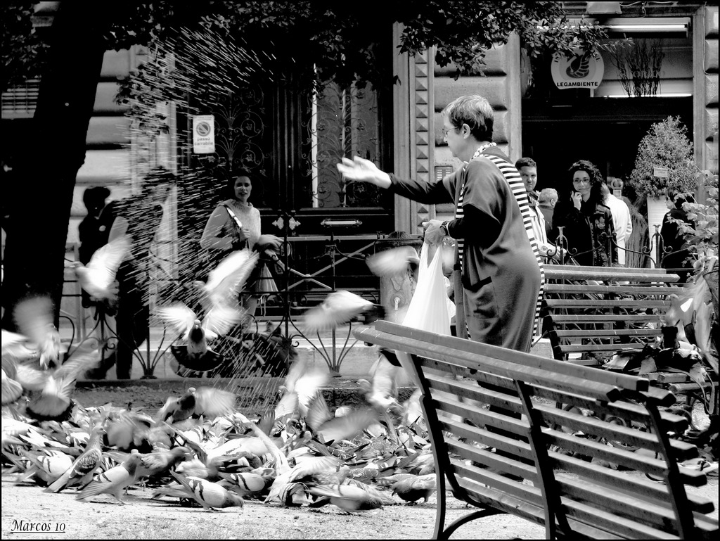 La donna dei piccioni