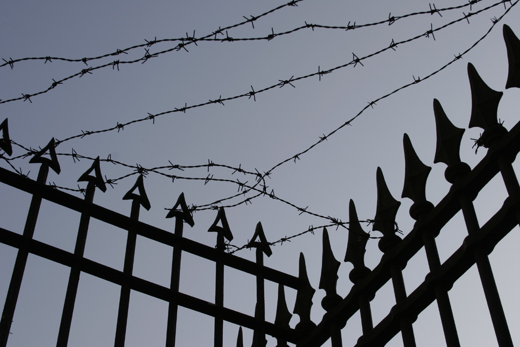 Voglia di liberta'